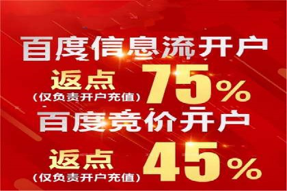 百度SEM竞价策略解析：成功案例分享